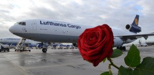 lufthansa-valentine
