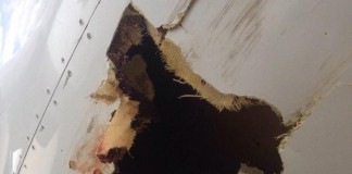 Πουλί άνοιξε… τρύπα σε αεροπλάνο, έπειτα από σύγκρουση