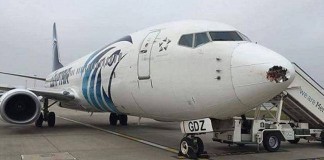 Τεράστια τρύπα σε αεροπλάνο από σύγκρουση με πουλί