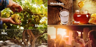 Η Olympic Air προσφέρει γεύσεις από Ελλάδα με νέες προσφορές!