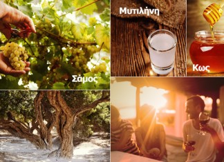 Η Olympic Air προσφέρει γεύσεις από Ελλάδα με νέες προσφορές!