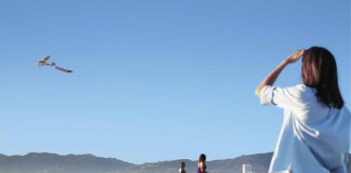 Πως δένεται ένα αεροπλάνο με ένα πανό; (Βίντεο)