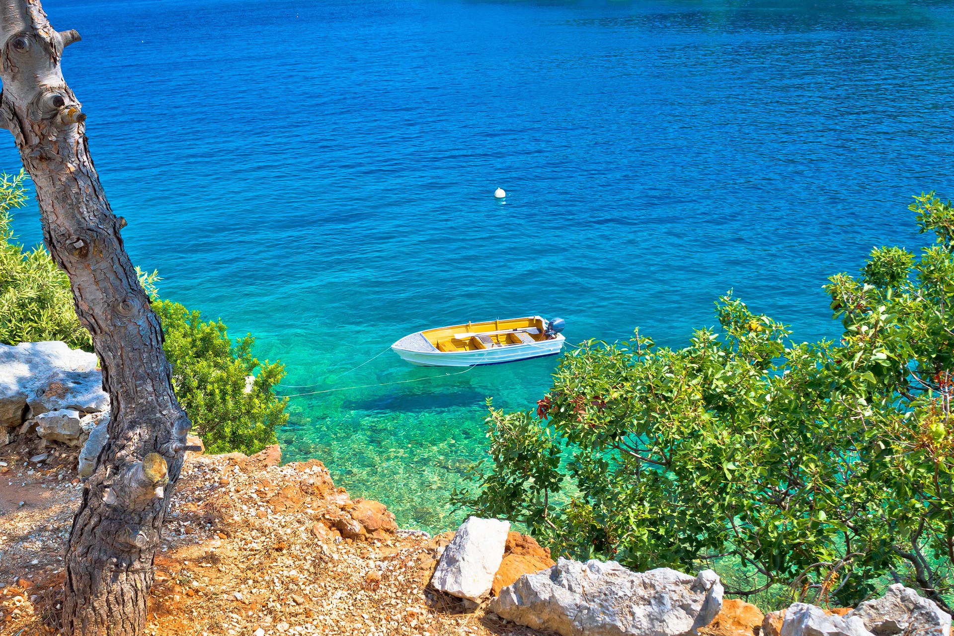 pine-tree-beach-dugi-otok-island-croatia-conde-nast-traveller-22feb16-alamy