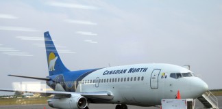 Μία πτήση γεμάτη από τετράποδους φίλους (Εικόνες)