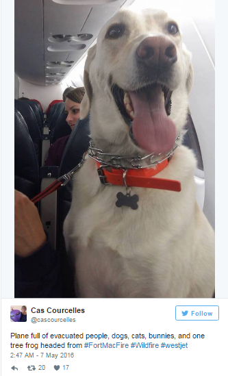 Χωρίς τίτλο