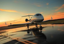 O Μασκ δίνει 5.000$ για να σβήσει 19χρονος το Twitter του που παρακολουθεί το αεροπλάνο του