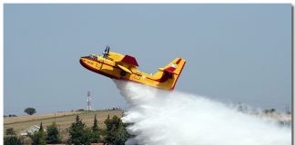 Ουσιώδης η βοήθεια της Ελλάδας στην πυρκαγιά στο Ισραήλ