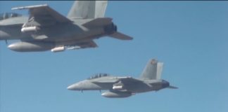 Drones-μέλισσες στον στρατό των ΗΠΑ (Video)