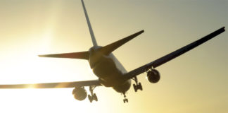 Πουλί «καρφώθηκε» σε πτήση ενός Βoeing 737