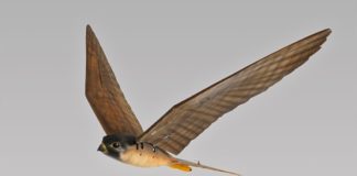 Το πρώτο αεροδρόμιο που θα διώχνει τα πουλιά με drone-«γεράκι»