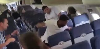 Το ξύλο της… αρκούδας μέσα σε πτήση (Video)