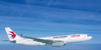 Άνοιξε τρύπα στον κινητήρα του αεροπλάνου- Πανικός στον αέρα