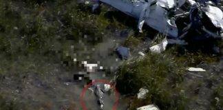 Βίντεο- Σοκ: Αλιγάτορας κατασπαράζει πιλότο μετά από συντριβή αεροσκάφους