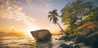 Βιέκες: Το νησί με τη «φωσφορίζουσα» θάλασσα