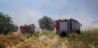 Κρήτη: Πυρκαγιά στο αεροδρόμιο Τυμπακίου