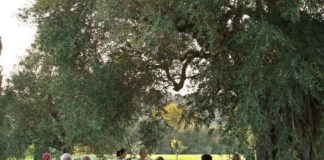 Ένωση Ξενοδόχων Μεσσηνίας: “Η Πελοπόννησος παραμένει ξεχασμένη από την Πολιτεία”