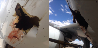 Τι συμβαίνει όταν τα αεροπλάνα συγκρούονται με… πτηνά;