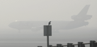 Θεσσαλονίκη: Προβλήματα στις πτήσεις λόγω ομίχλης