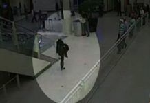 Σικάγο: Συνελήφθη γυναίκα- επαγγελματίας λαθρεπιβάτης! (βίντεο)