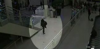 Σικάγο: Συνελήφθη γυναίκα- επαγγελματίας λαθρεπιβάτης! (βίντεο)