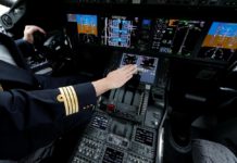 Αναστάτωση σε πτήση: Ένα πτηνό μπήκε στο πιλοτήριο