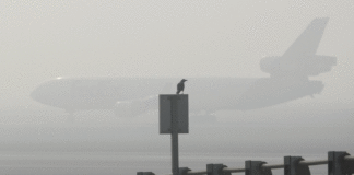 Προβλήματα στο «Μακεδονία» λόγω ομίχλης