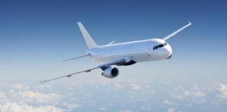 Της πρότειναν να ρίξει το χάμστερ της στην τουαλέτα του αεροπλάνου!