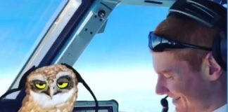 Πιλότος χορεύει στο Snapchat στα 38.000 πόδια