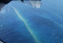 Πτήση MH370: Αυστραλός μηχανικός υποστηρίζει ότι εντόπισε τα συντρίμμια