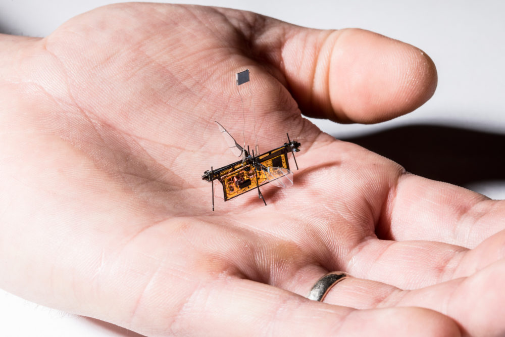 robofly_0148_web
