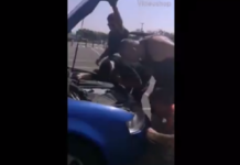 Συγκινητική διάσωση στο Αεροδρόμιο Πάφου (vid)