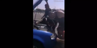 Συγκινητική διάσωση στο Αεροδρόμιο Πάφου (vid)