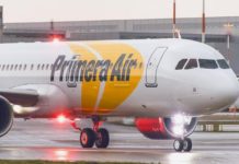 Primera Air: Αντί για λαγό έβγαλε αρκούδα…