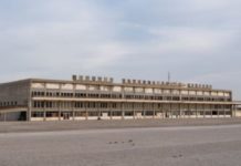 Τεχνητές φωλιές για ανθρωποπούλια στο παλιό αεροδρόμιο Λευκωσίας