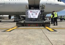 Turkish Cargo: Mετέφερε λιοντάρια τσίρκου στο φυσικό τους περιβάλλον