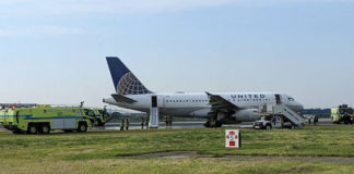 Φίδι…αλώνιζε σε πτήση της United Airlines