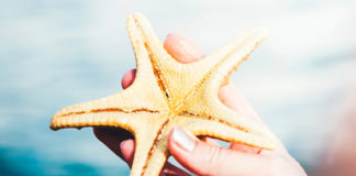 Διπλά μίλια εξαργύρωσης με συνεργάτες της AEGEAN