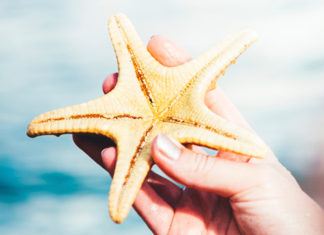 Διπλά μίλια εξαργύρωσης με συνεργάτες της AEGEAN