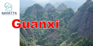 Τα τουριστικά γραφεία γεφυρώνουν Ελλάδα και Κίνα