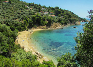 Cyprus Airways: Μια μέρα, μια πτήση, ένας ονειρικός προορισμός!