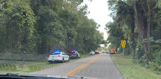 Αεροσκάφος έπεσε σε δάσος στην Φλόριντα – Τρεις νεκροί