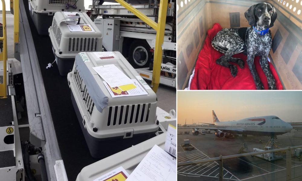 27049298-0-image-a-4_1586537324804