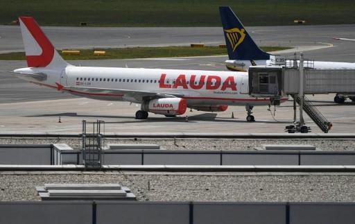 lauda