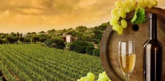 Νέο Διοικητικό Συμβούλιο για το Attica Wine and Food Experience