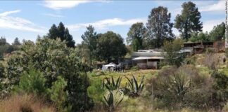 Συνετρίβη αεροσκάφος γεμάτο κοκαΐνη