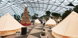 Στο αεροδρόμιο Σιγκαπούρης κάνουν χριστουγεννιάτικες διακοπές σε..σκηνές!