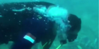 Ινδονησία: Βίντεο με τους δύτες να ερευνούν τα συντρίμμια στον βυθό