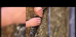 Αεροδρόμιο Αθηνών: Τα τριπλά τοιχώματα της βαλίτσας… έκρυβαν 10 κιλά ηρωίνη