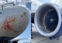 Το αεροπλάνο των Τζαζ έπεσε σε σμήνος πουλιών