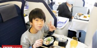 All-Nippon Airways: Σερβίρει δείπνο σε σταθμευμένο αεροπλάνο